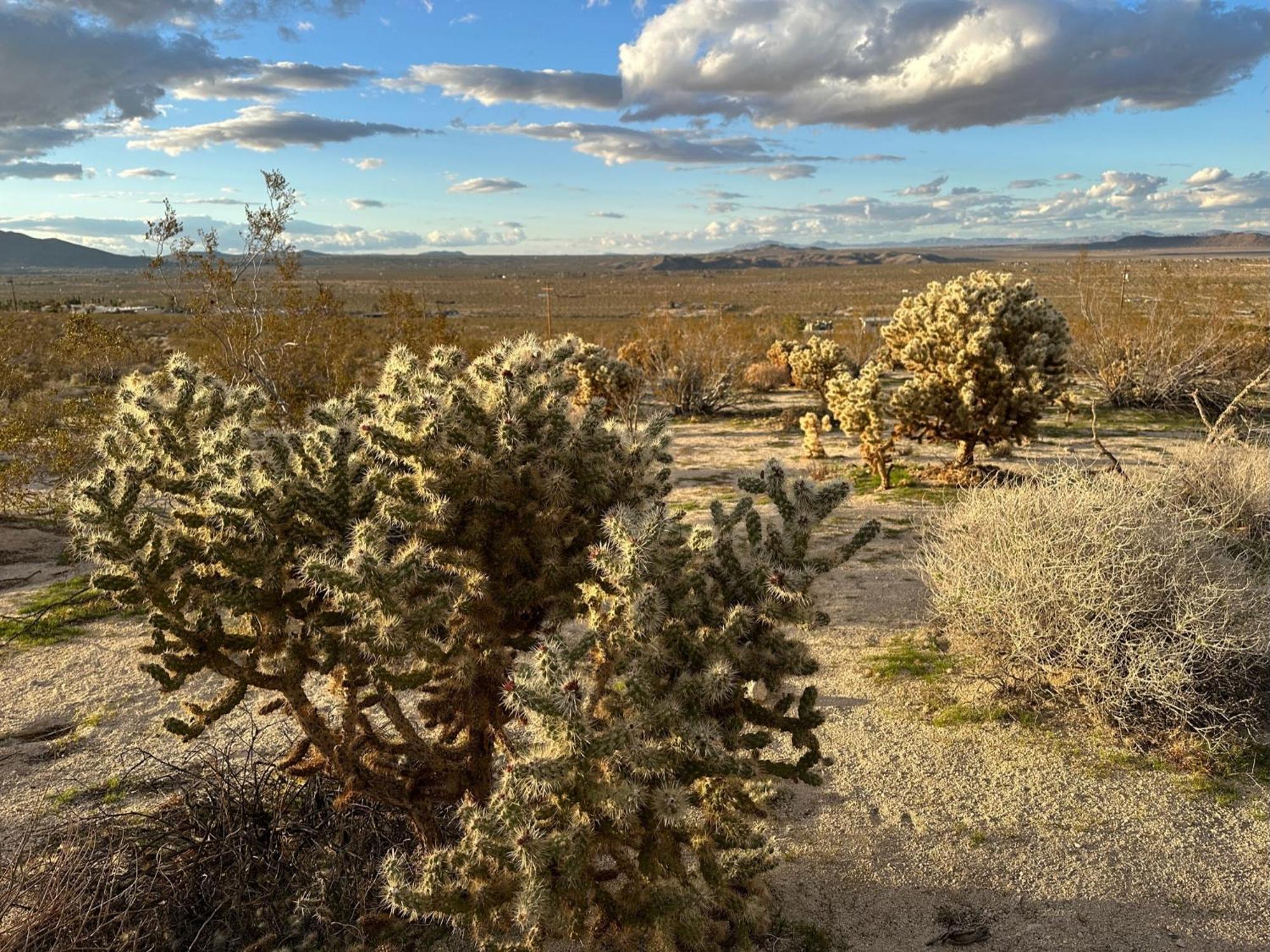 The Outpost Joshua Tree: Hot Tub, Gameroom, Jtnp Экстерьер фото