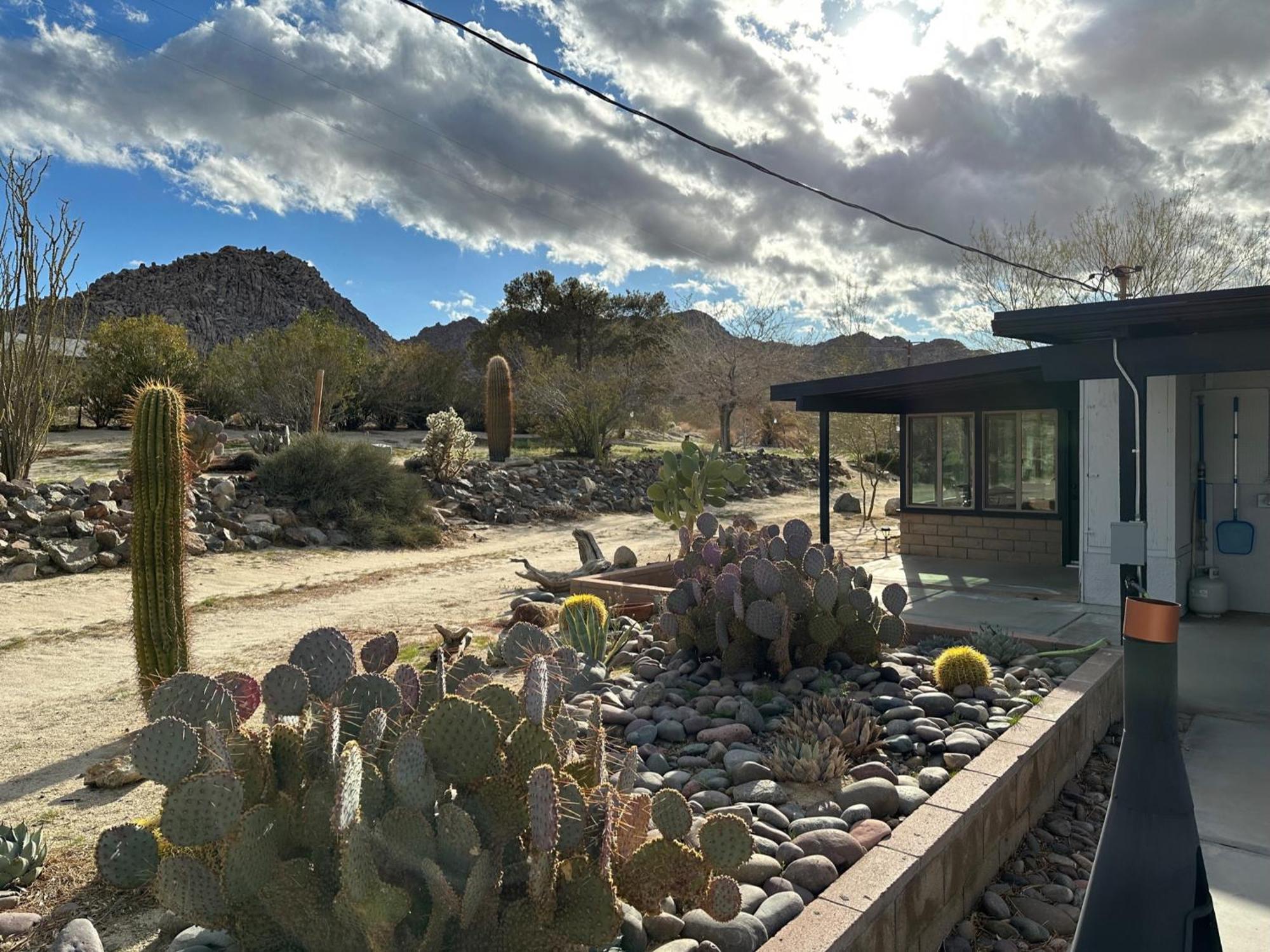 The Outpost Joshua Tree: Hot Tub, Gameroom, Jtnp Экстерьер фото